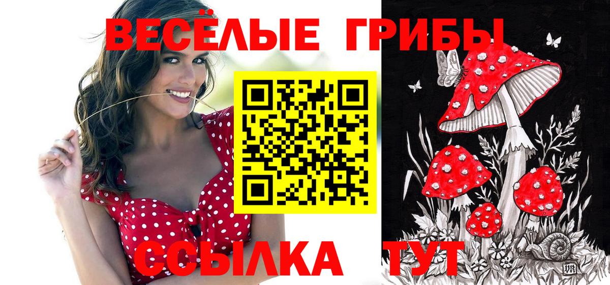 Галлюциногенные грибы прущие грибы Кубинка
